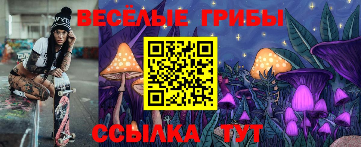 Псилоцибиновые грибы Psilocybe Туймазы