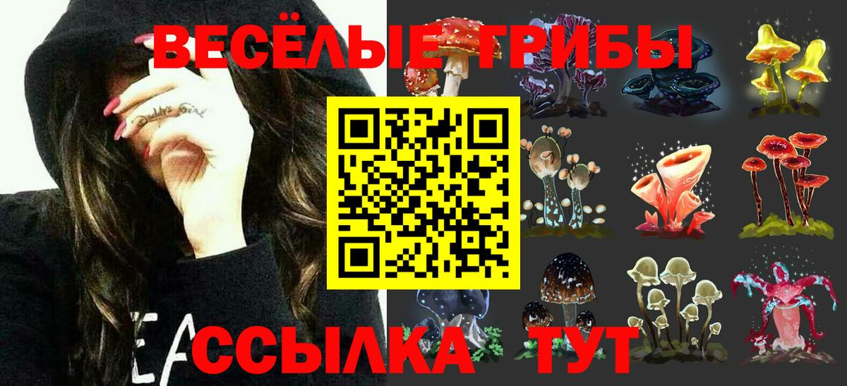 Галлюциногенные грибы мухоморы  Вход с VPN  Галлюциногенные грибы ЛСД  Туймазы 