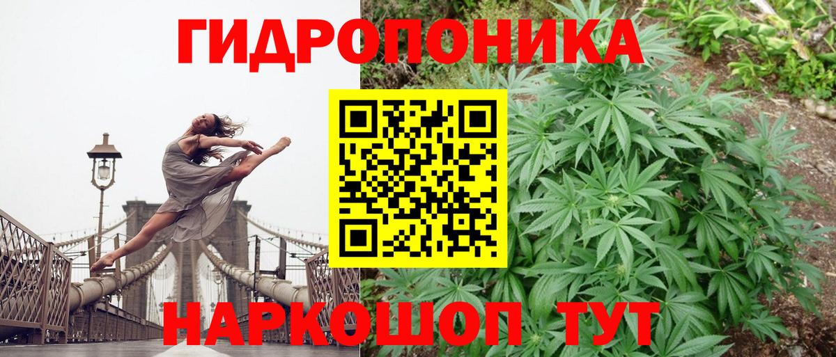 Бошки Шишки Amnesia Туймазы